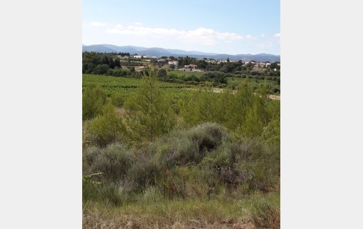 Réseau Immo-diffusion : Terrain  RIEUX-MINERVOIS   55 000 € 