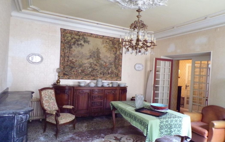 Réseau Immo-diffusion : Maison  TOUROUZELLE  283 m2 156 000 € 