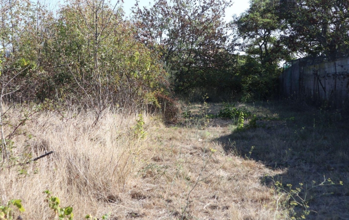 Terrain LA LIVINIERE (34210)   69 000 € 