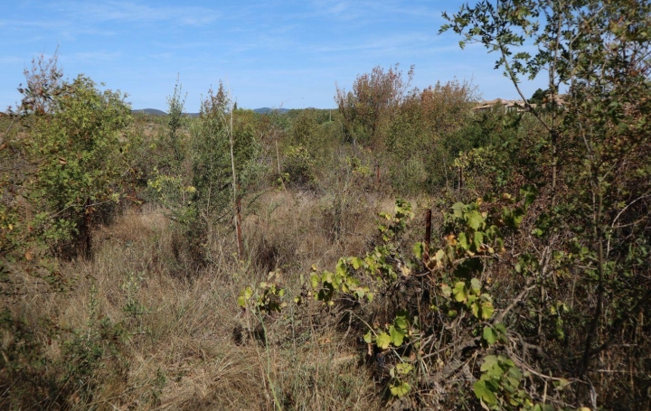 Terrain LA LIVINIERE (34210)   69 000 € 