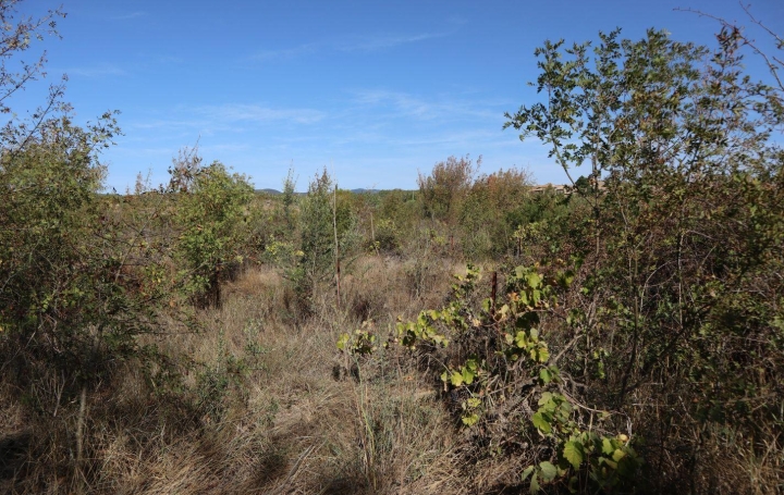 Terrain LA LIVINIERE (34210)   69 000 € 