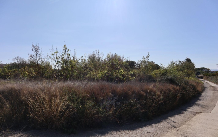 Terrain LA LIVINIERE (34210)   69 000 € 