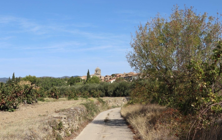 Terrain LA LIVINIERE (34210)   69 000 € 