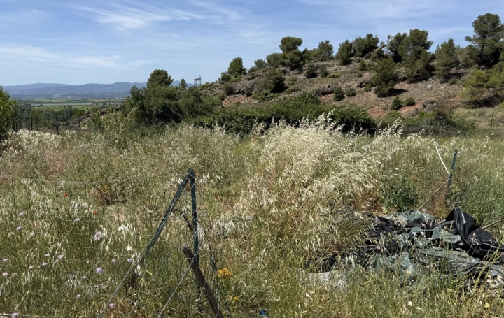 Terrain TOUROUZELLE (11200)   20 000 € 