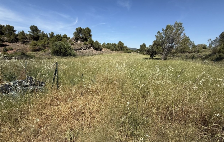Terrain TOUROUZELLE (11200)   20 000 € 