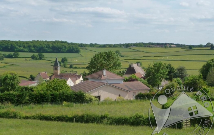 Réseau Immo-diffusion : Maison  CHAMPLECY  185 m2 262 000 € 