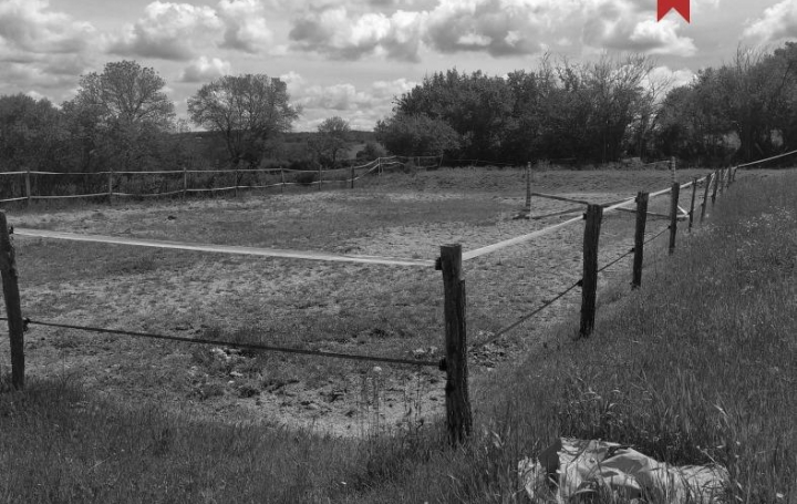 Réseau Immo-diffusion : Maison  SAINTE-RADEGONDE  92 m2 140 000 € 