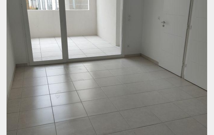 Appartement CASTELNAU-LE-LEZ (34170) 41 m2 225 000 € 