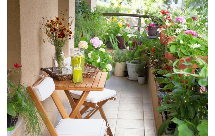 Réseau Immo-diffusion : Appartement P2  JOUE-LES-TOURS  40 m2 183 000 € 