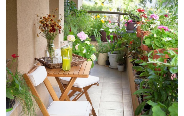 Réseau Immo-diffusion : Appartement P3  SEYRESSE  68 m2 189 400 € 