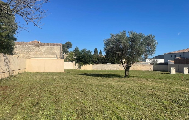 Terrain LANSARGUES (34130)  734 m2 319 900 € 