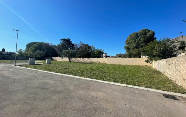 Terrain LANSARGUES (34130)  734 m2 319 900 € 