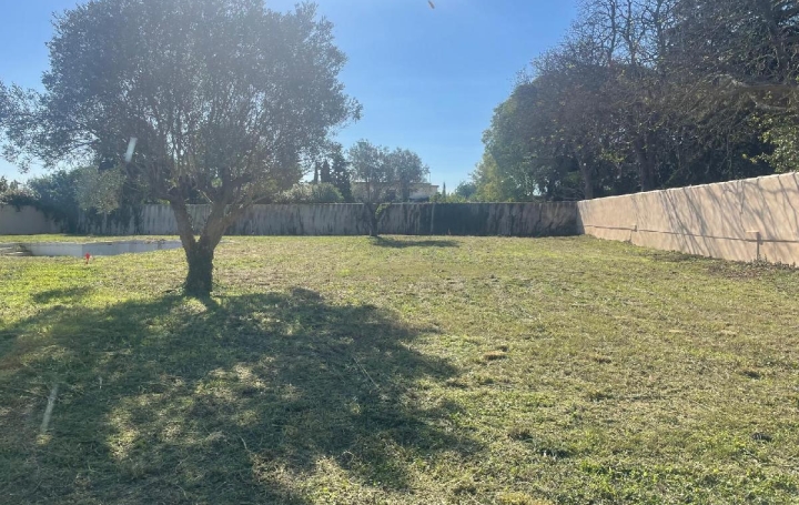 Terrain LANSARGUES (34130)  734 m2 319 900 € 