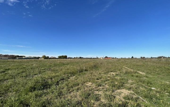 Terrain MARSILLARGUES (34590)  650 m2 99 900 € 