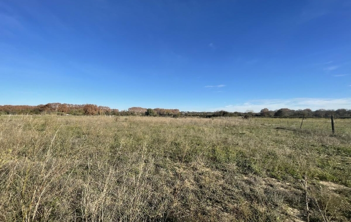 Terrain AIMARGUES (30470)  650 m2 99 900 € 