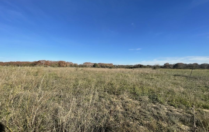 Terrain GALLARGUES-LE-MONTUEUX (30660)  441 m2 144 900 € 