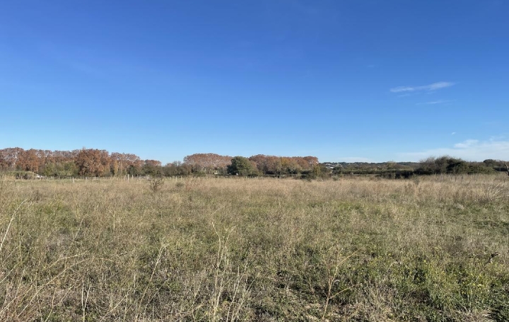 Terrain NIMES (30000)  642 m2 129 900 € 