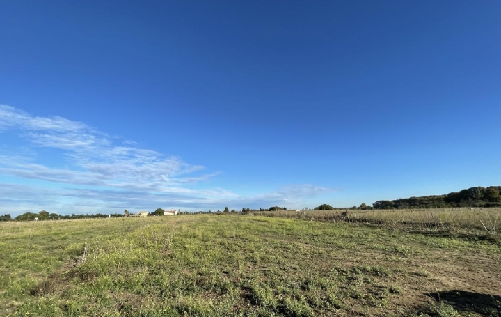 Terrain LE CAILAR (30740)  444 m2 134 900 € 