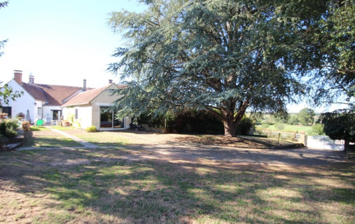 Réseau Immo-diffusion : Maison  CHATEAUMEILLANT  135 m2 159 500 € 