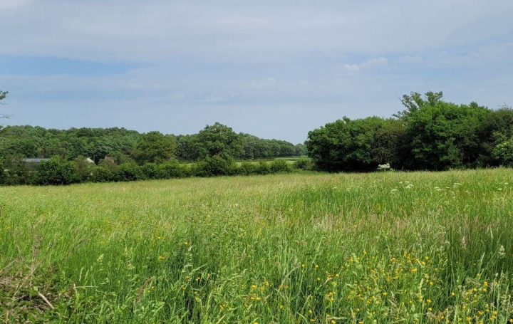 Réseau Immo-diffusion : Terrain  CHATEAUMEILLANT  5 560 m2 12 000 € 