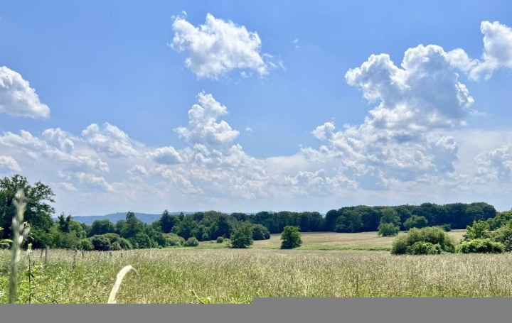 Propriété BOUSSAC (23600)  332 m2 399 999 € 