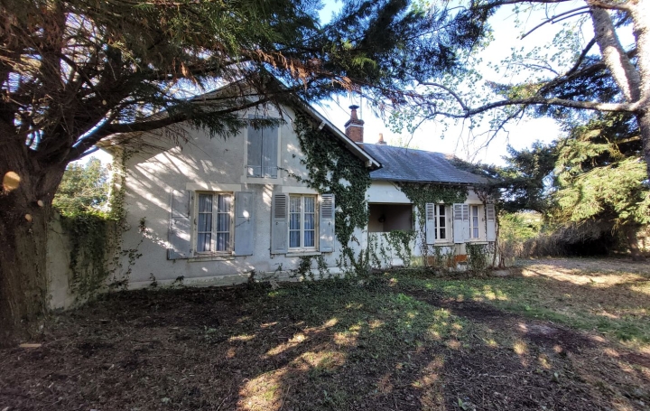 Réseau Immo-diffusion : Maison  SAINT-PRIEST-LA-MARCHE  90 m2 70 000 € 