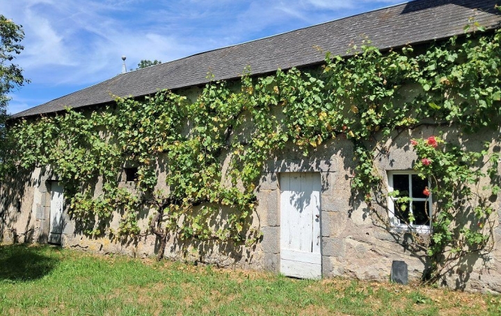 Maison BUSSIERE-NOUVELLE (23700)  214 m2 173 000 € 