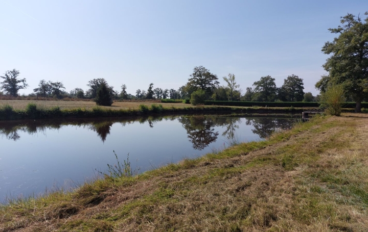 Terrain GOUZON (23230)   77 000 € 