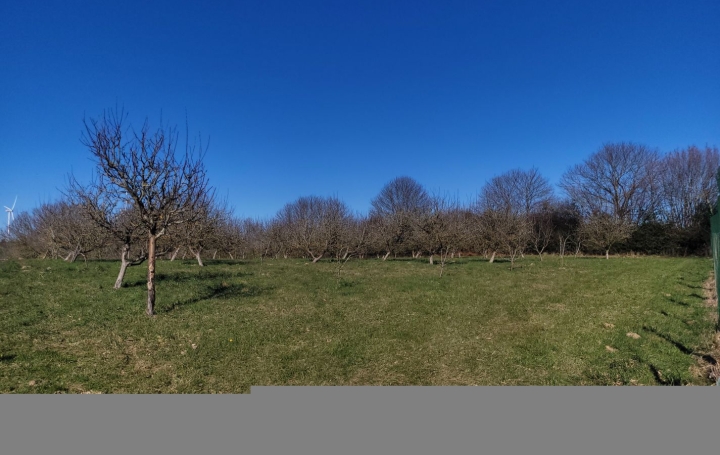 Maison BOUSSAC-BOURG (23600)  180 m2 325 500 € 