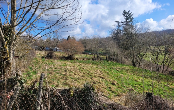 Maison de village SAINT-SILVAIN-BAS-LE-ROC (23600)  50 m2 67 000 € 