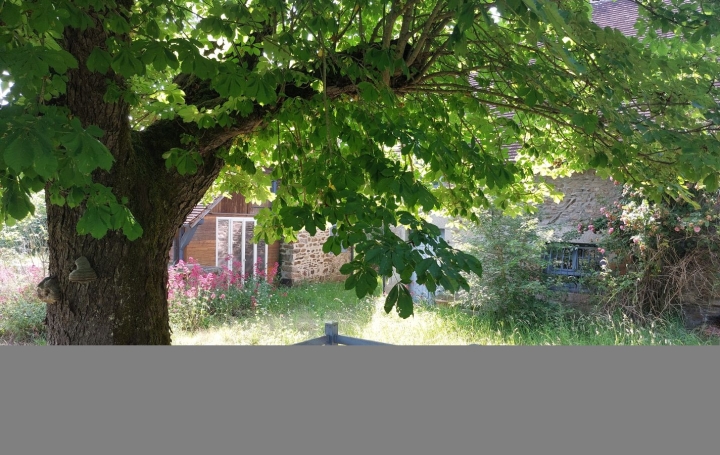 Maison SAINT-DIZIER-LES-DOMAINES (23270)  209 m2 257 000 € 