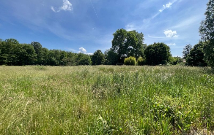 Maison SAINT-DIZIER-LES-DOMAINES (23270)  209 m2 257 000 € 