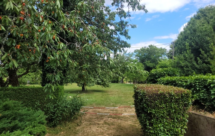 Domaine VIJON (36160)  78 m2 135 000 € 