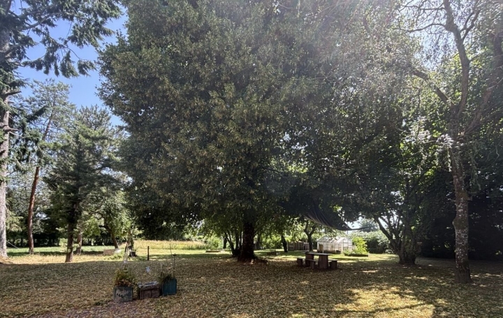 Maison BOUSSAC (23600)  108 m2 167 400 € 