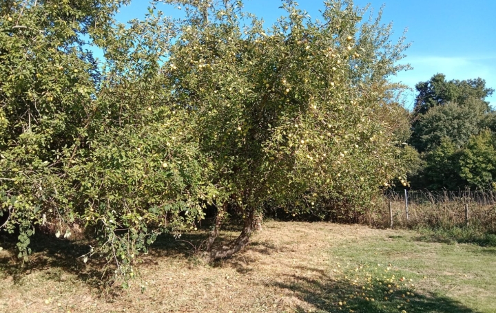 Maison AUGE (23170)  82 m2 30 000 € 