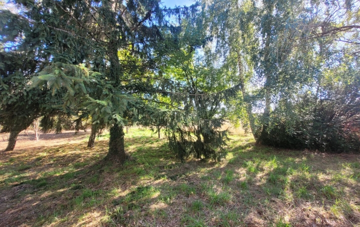 Maison SAINT-PALAIS (03370)  78 m2 66 000 € 