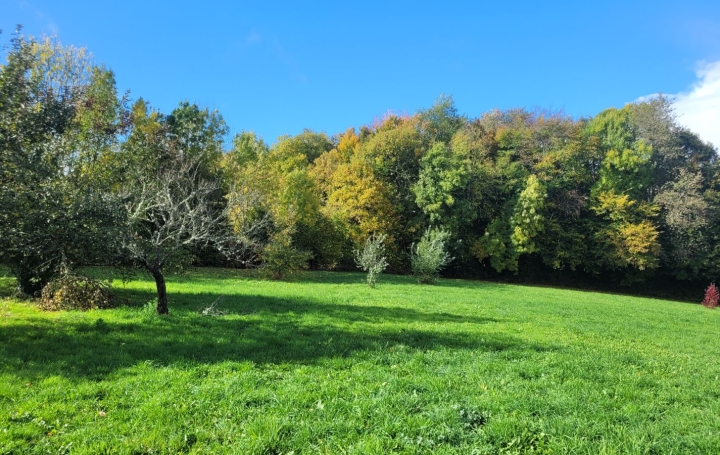 Maison VIGOULANT (36160)  180 m2 197 000 € 