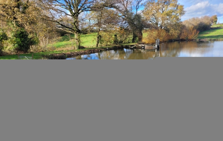 Terrain VIJON (36160)  12 960 m2 29 000 € 