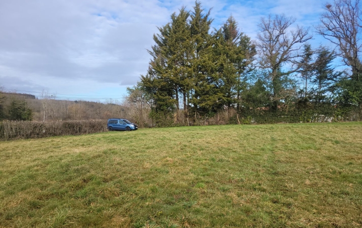 Terrain LAVAUFRANCHE (23600)   17 200 € 
