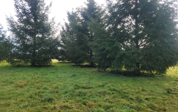 Terrain LAVAUFRANCHE (23600)   17 000 € 