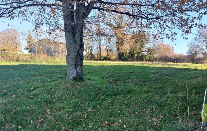 Maison BETETE (23270)  99 m2 45 500 € 