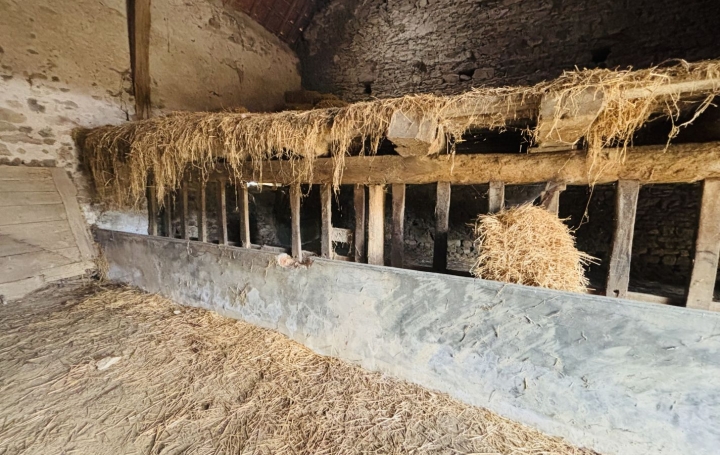 Autre TREIGNAT (03380)   22 000 € 