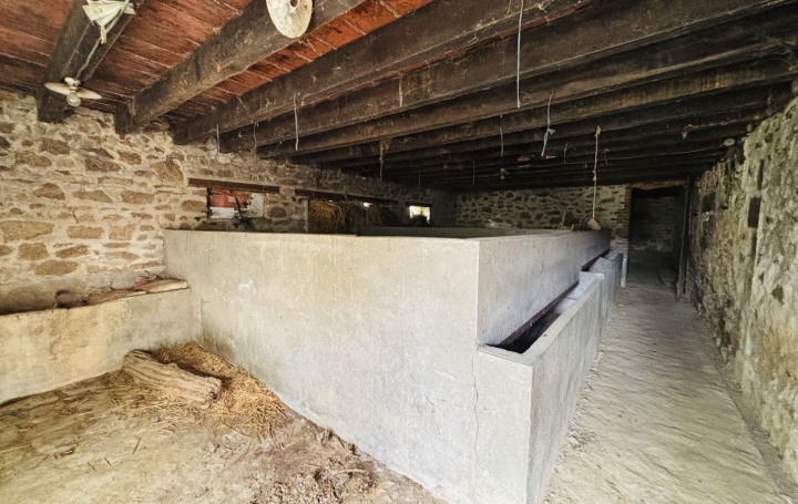 Autre TREIGNAT (03380)   22 000 € 