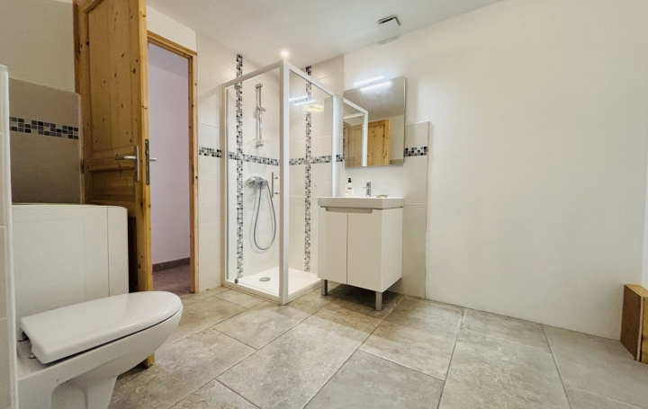Maison VIJON (36160)   0 € 