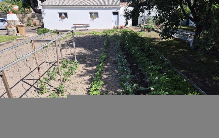 Terrain SAINTE-FOY (85150)  533 m2 90 000 € 