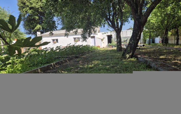 Terrain SAINTE-FOY (85150)  533 m2 90 000 € 