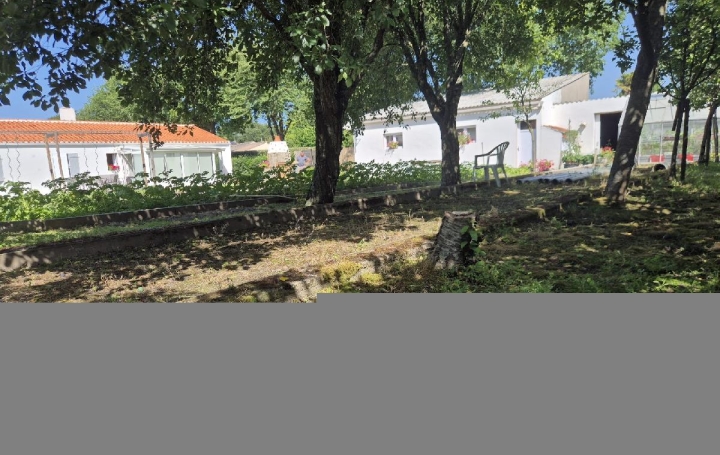 Terrain SAINTE-FOY (85150)  533 m2 90 000 € 