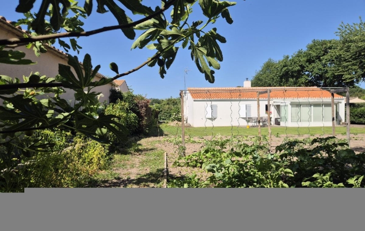 Terrain SAINTE-FOY (85150)  533 m2 90 000 € 