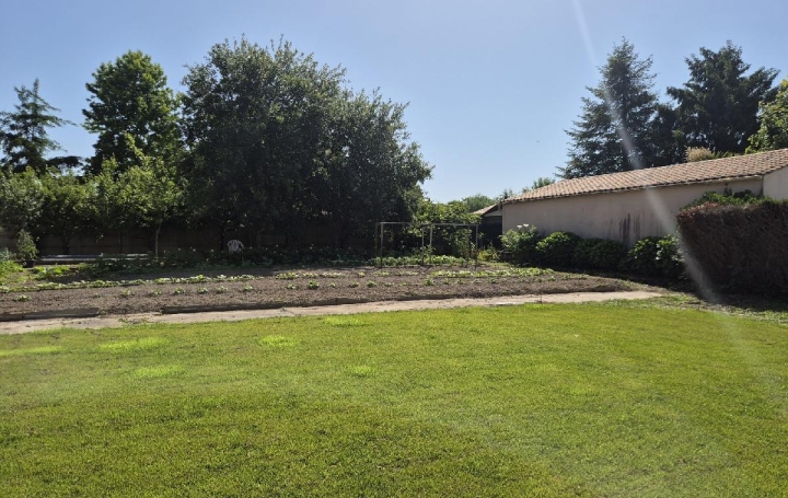 Terrain SAINTE-FOY (85150)  533 m2 90 000 € 