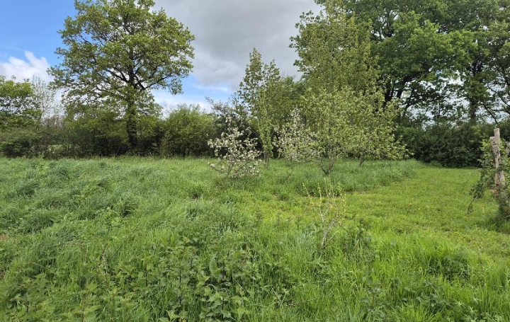 Terrain GROSBREUIL (85440)  1 435 m2 159 900 € 